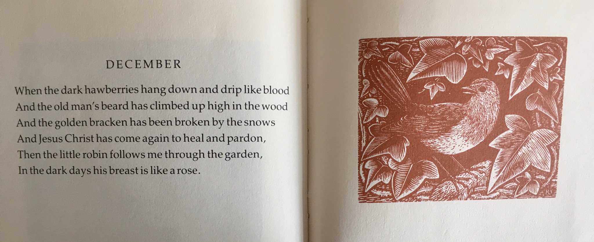 Iris Murdoch, 'December', with illustration by Reynold Stone, from ‘A Year of Birds’ (1933).